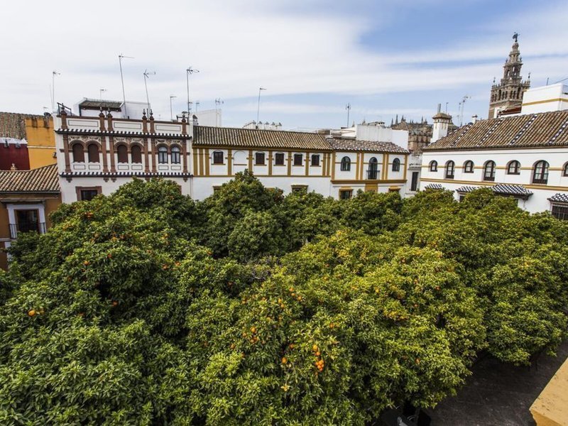 Elvira Plaza recenzie