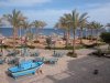 Queen Sharm