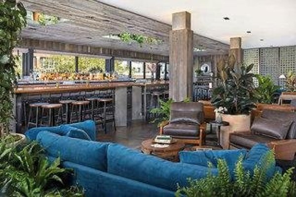 Populus Seattle