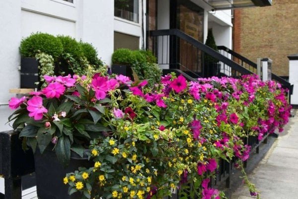 The Kensington Court