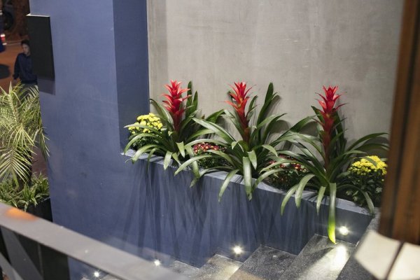 The Art Classic Hotel & Spa