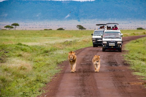 Poznávací zájazd Klenot Afriky: Keňa vrátane 2-dňového safari v národnom parku Tsavo East