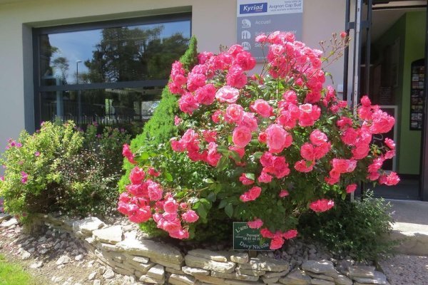 Kyriad Avignon Centre Commercial Cap Sud