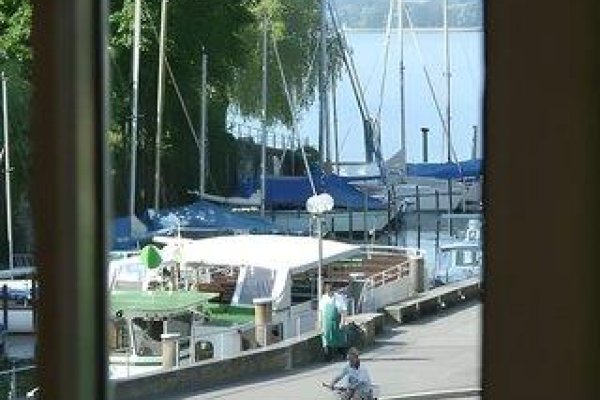 Ochsen