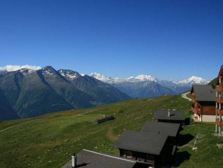 Apartmenthaus Bergfreund