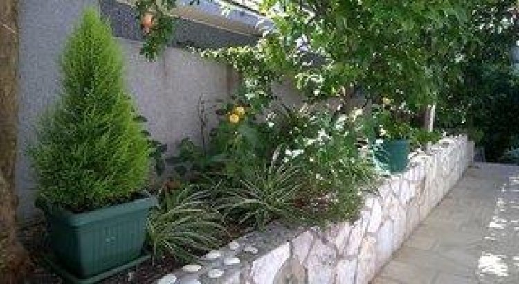 Apartments Desa Petric