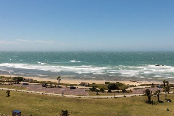 Protea Marine Port Elizabeth