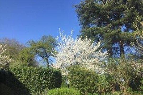 Les Sous Bois