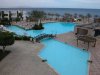 Queen Sharm