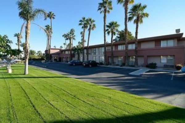Best Western Date Tree