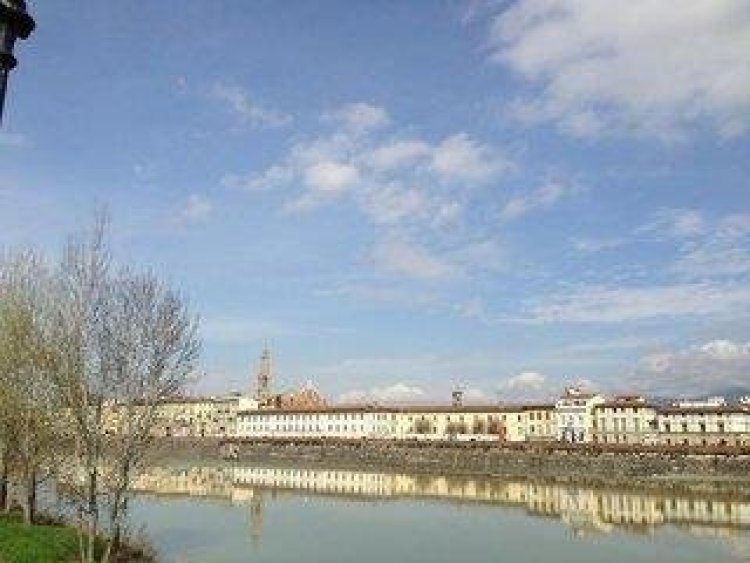 Ferrucci