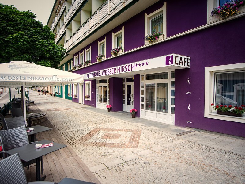 AKTIVHOTEL Weißer Hirsch