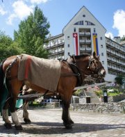 Schweizerhof SilsMaria, a Faern Collection Hotel