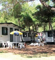 Bi-Village Ferienzentrum - Pitches / Campingplatz