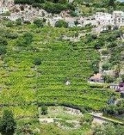 B&B I Limoni