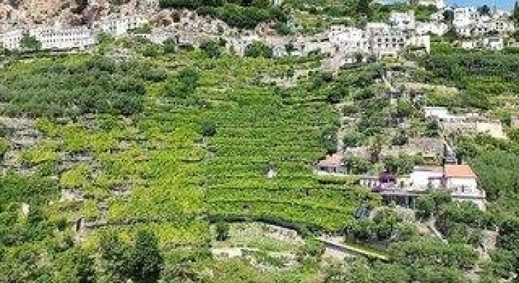 B&B I Limoni
