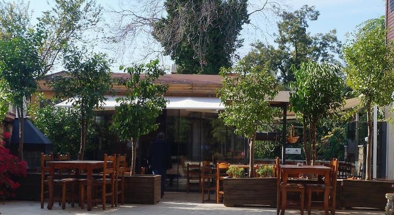 Kosa Otel recenzie