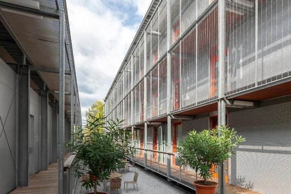 Orange Wings Krems