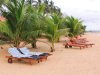 Ranweli Holiday Village - Pláž