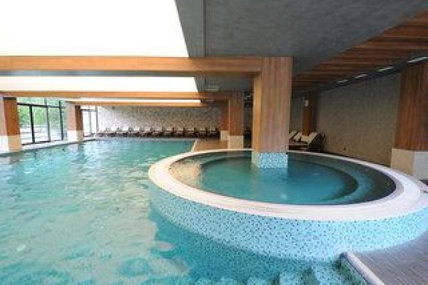 Hotel Borjomi Likani