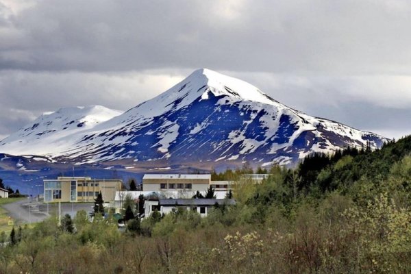 Hestasport Cottages