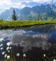 Alpenhof Schwaiger