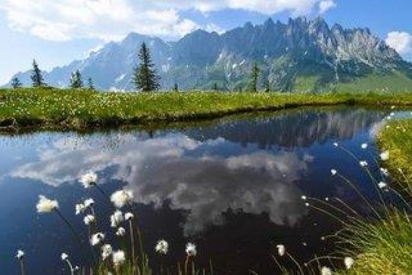 Alpenhof Schwaiger
