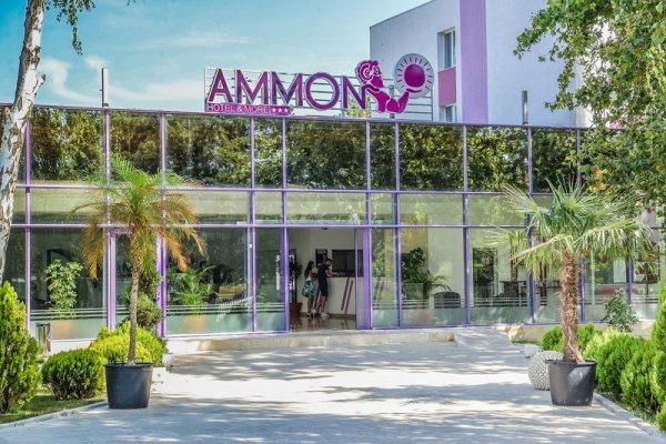 Ammon
