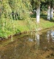 Rustic Inn River