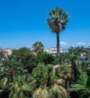 Don Giulio Luxury Rooms