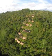 Nandini Jungle by Hanging Gardens