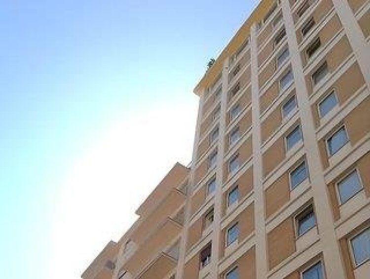 Domus Municipio