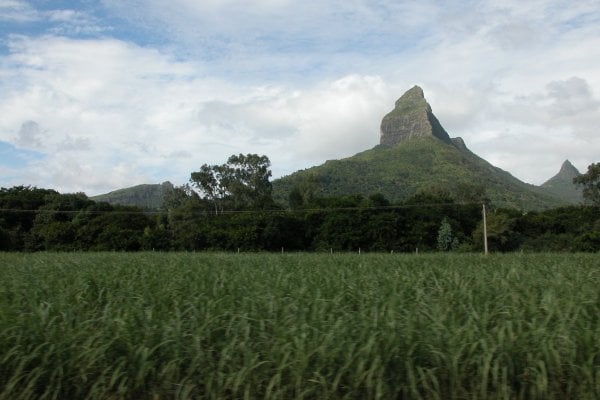 Piton de la Petite Rivière Noire