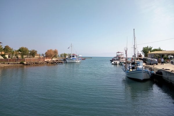Messonghi