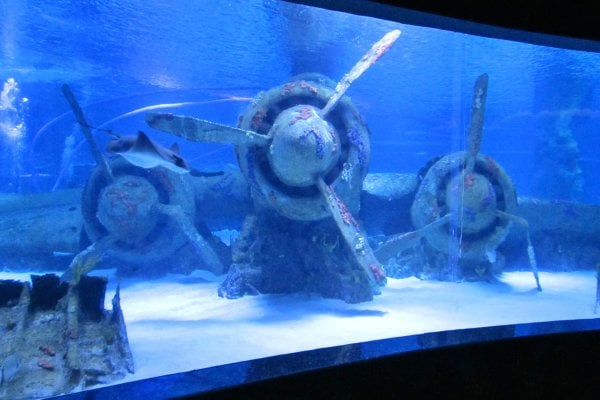 Antalya Aquarium
