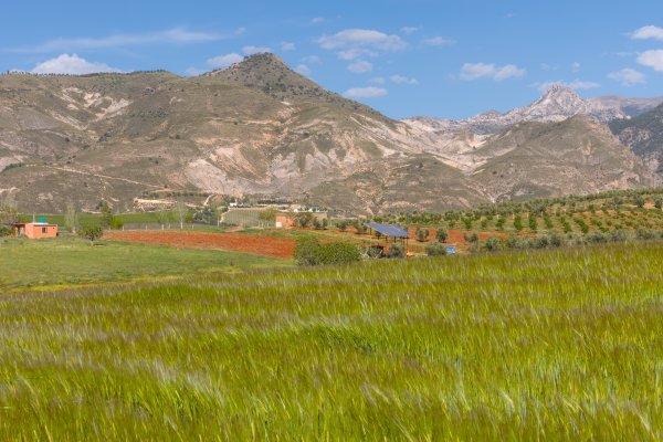 Sierra Nevada