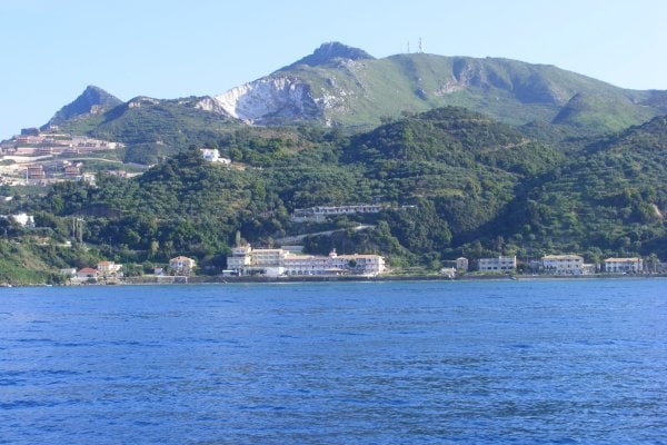 Argassi
