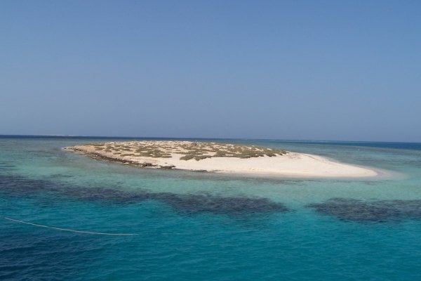 Qulaan