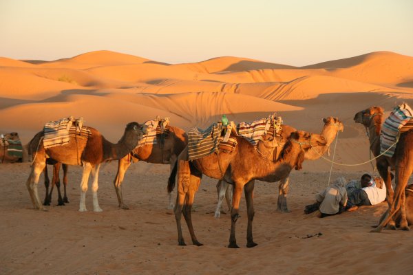 Ksar Ghilane