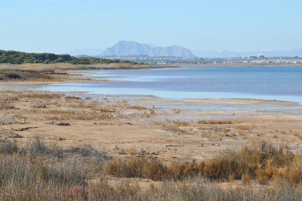 Lagunas de la Mata y Torrevieja