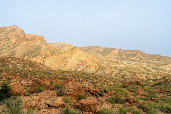 Bou-Hedma National Park