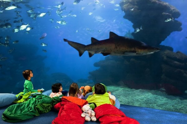Palma Aquarium