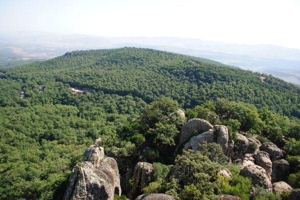 El Feidja National Park