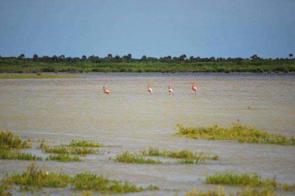 Laguna de Oviedo