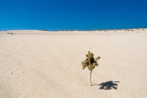 Corralejo Natural Park