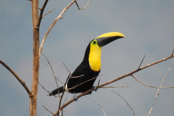 El Choco National Park