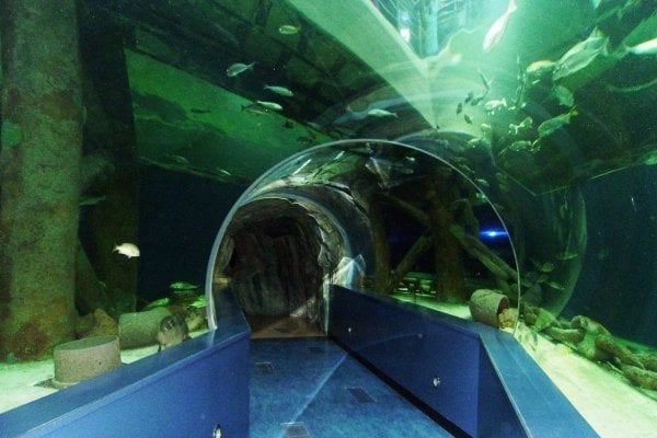 Sharjah Aquarium