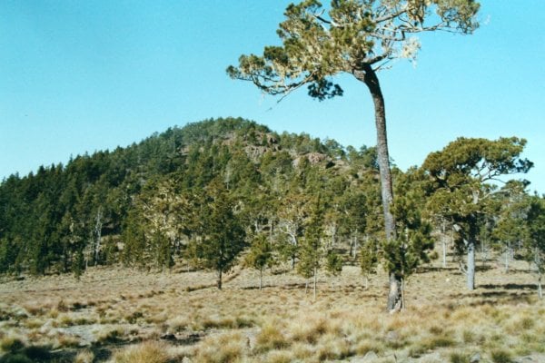 Pico Duarte