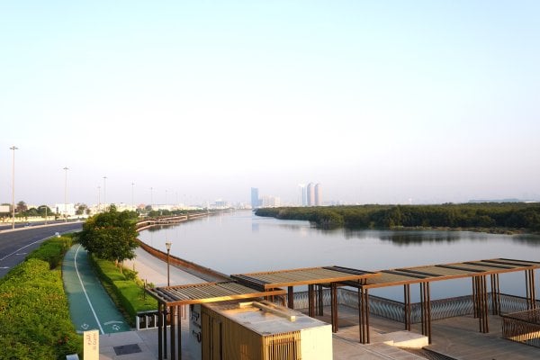 Mangroves v Abú Dhabi