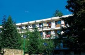 Hotel Puldin recenzie